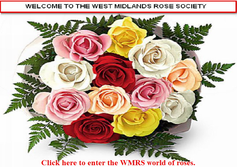roses-bouquets